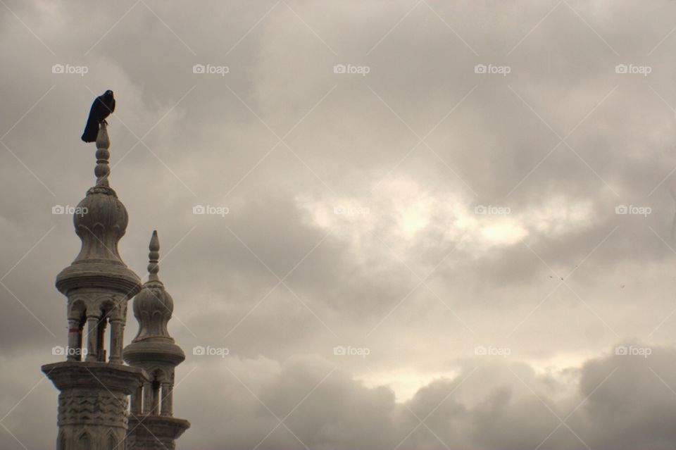 Crow on a minaret. India.