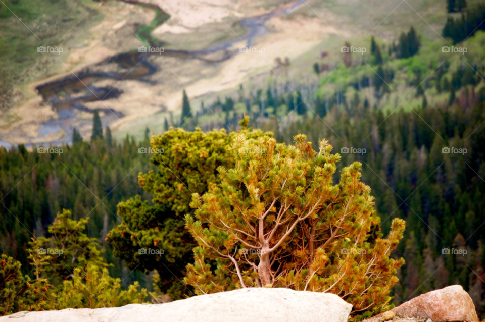 mountains cliff colorado by refocusphoto