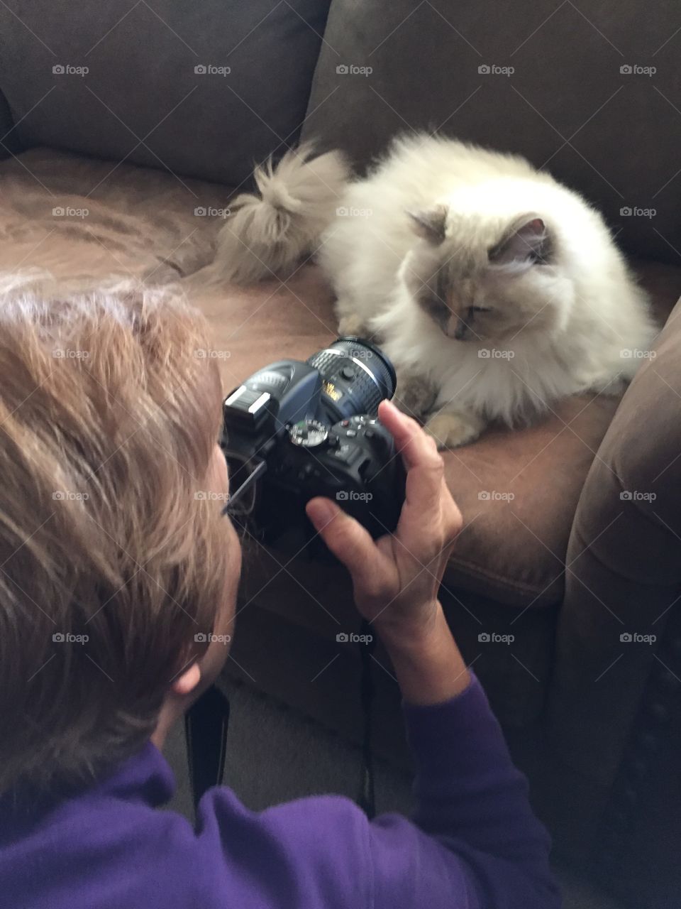 Taking picture of a cat