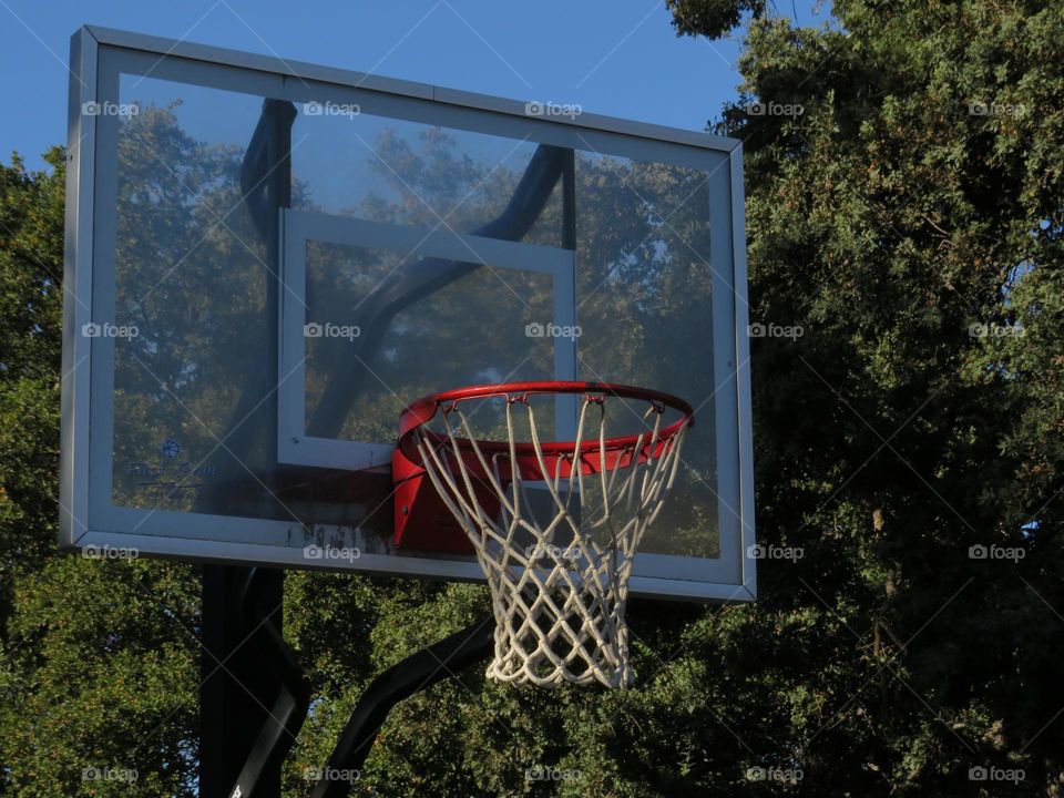 Basketball Net 