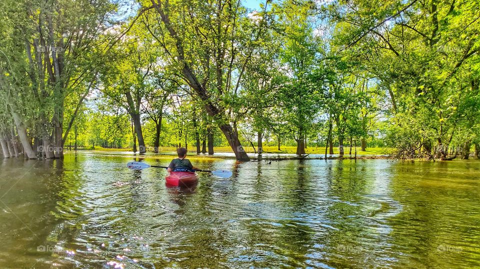 kayaking in a flooded forest