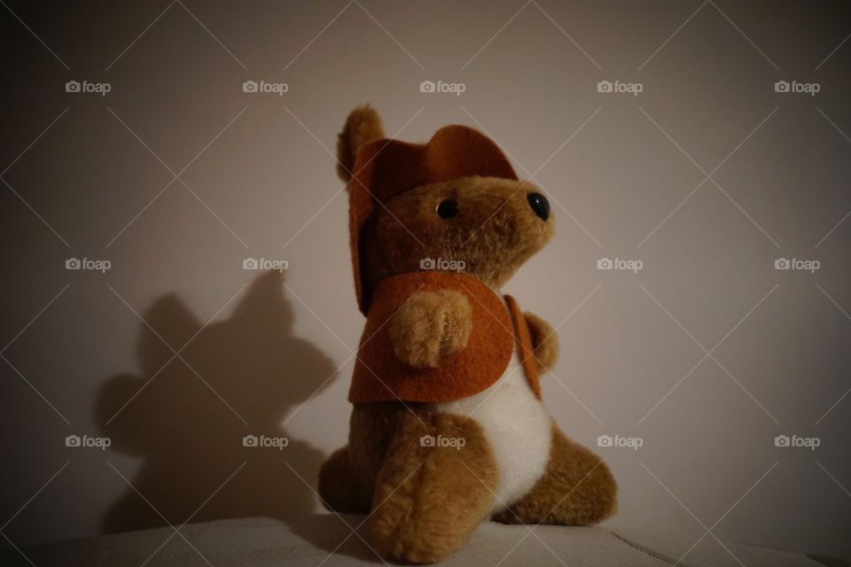 A Kangaroo Soft Toy.