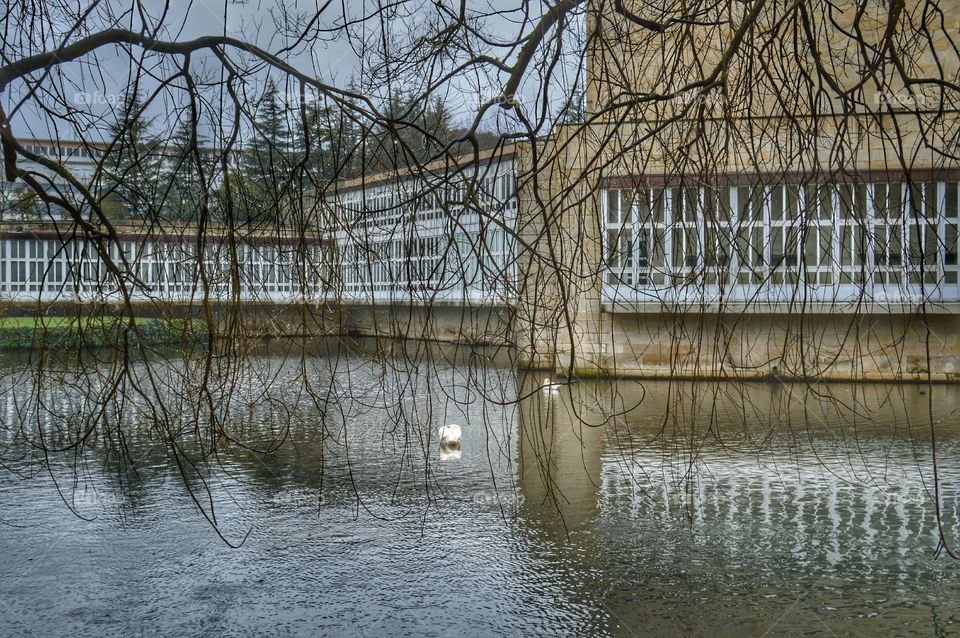 Pond, Auditorio de Galicia. Pond at Auditorio de Galicia, Santiago de Compostela