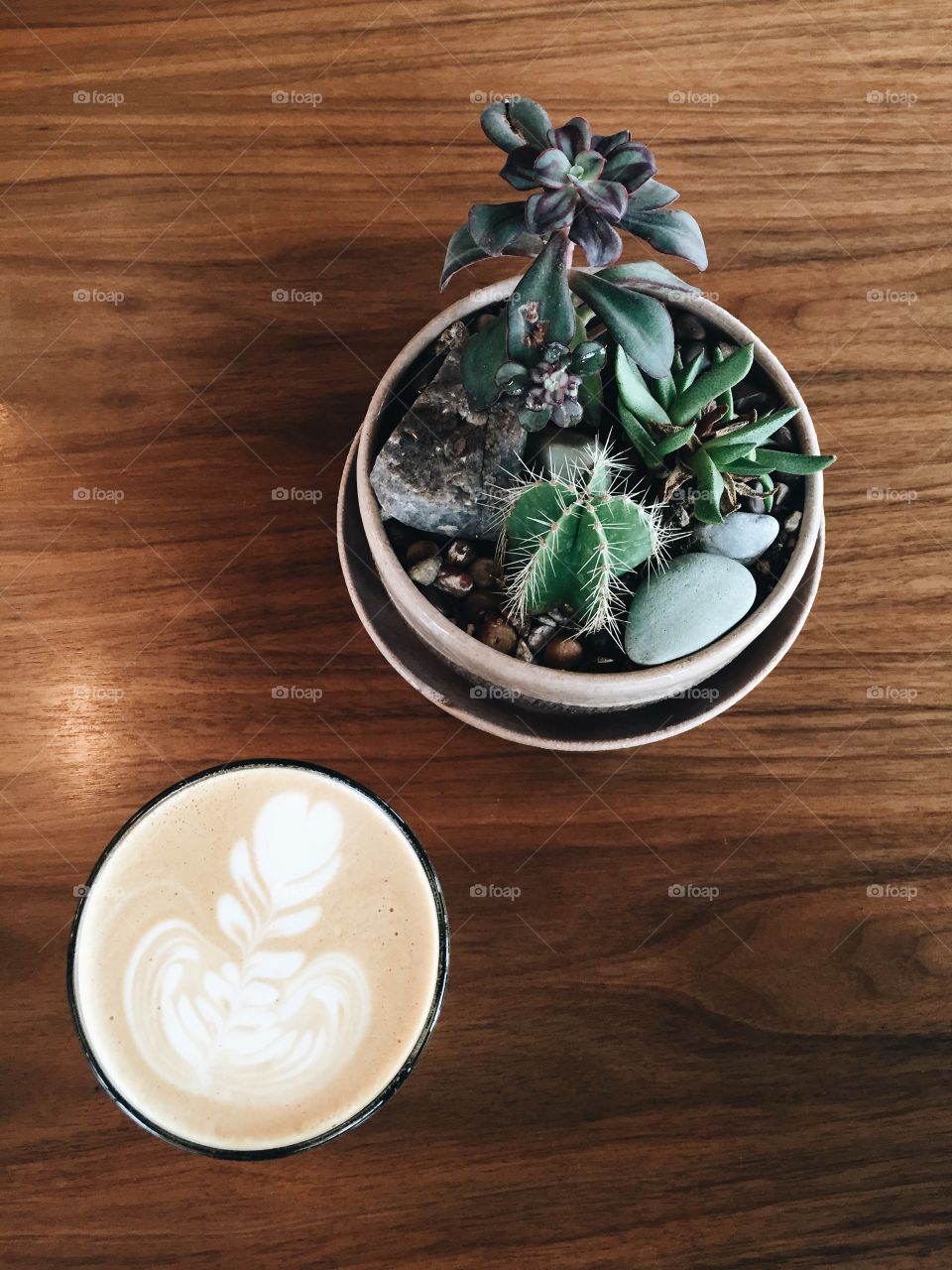 Coffee and succulent plants on table