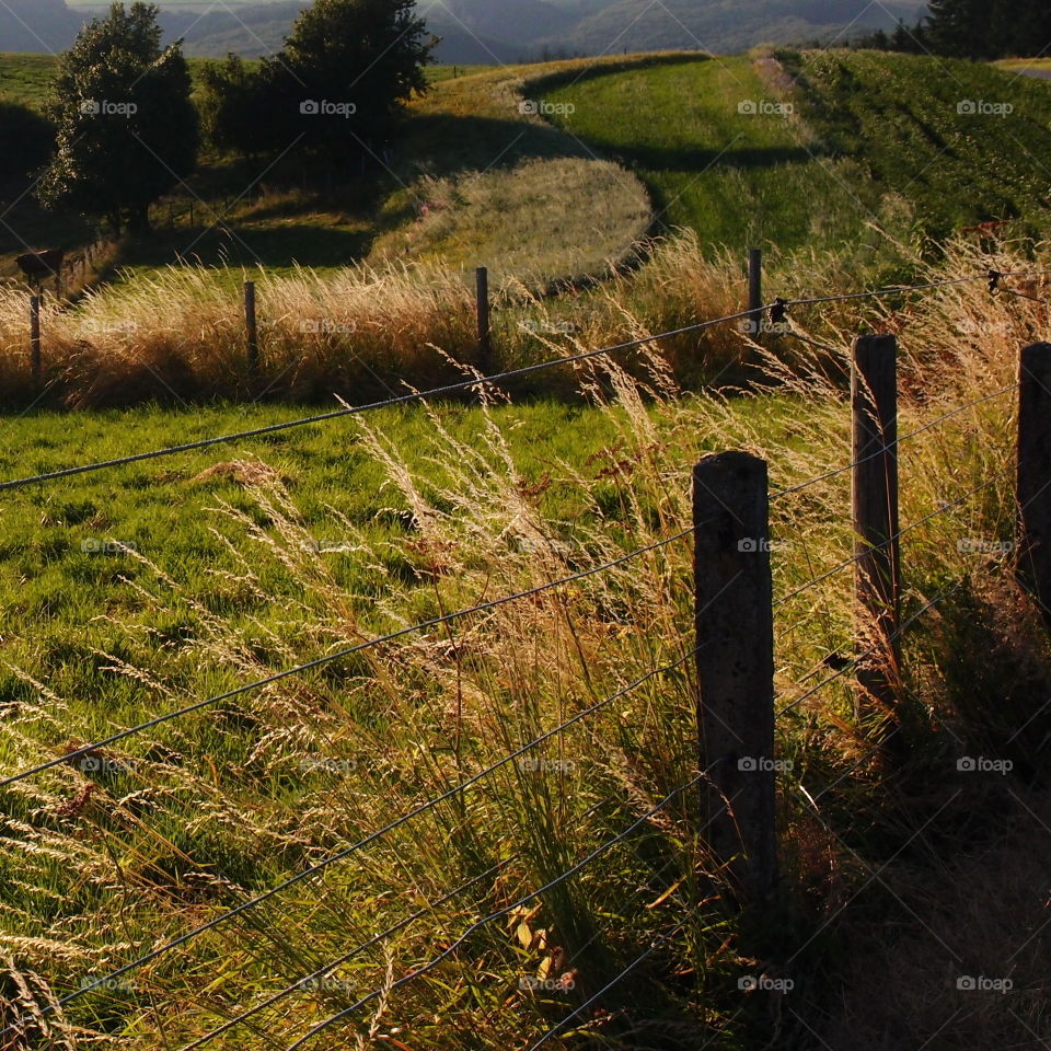 Pastures and fields surrounded by wire fencing on wooden posts amongst the tree covered hills in the countryside of rural Luxembourg on a summer day.