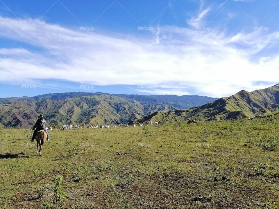 Summer in the ranch 