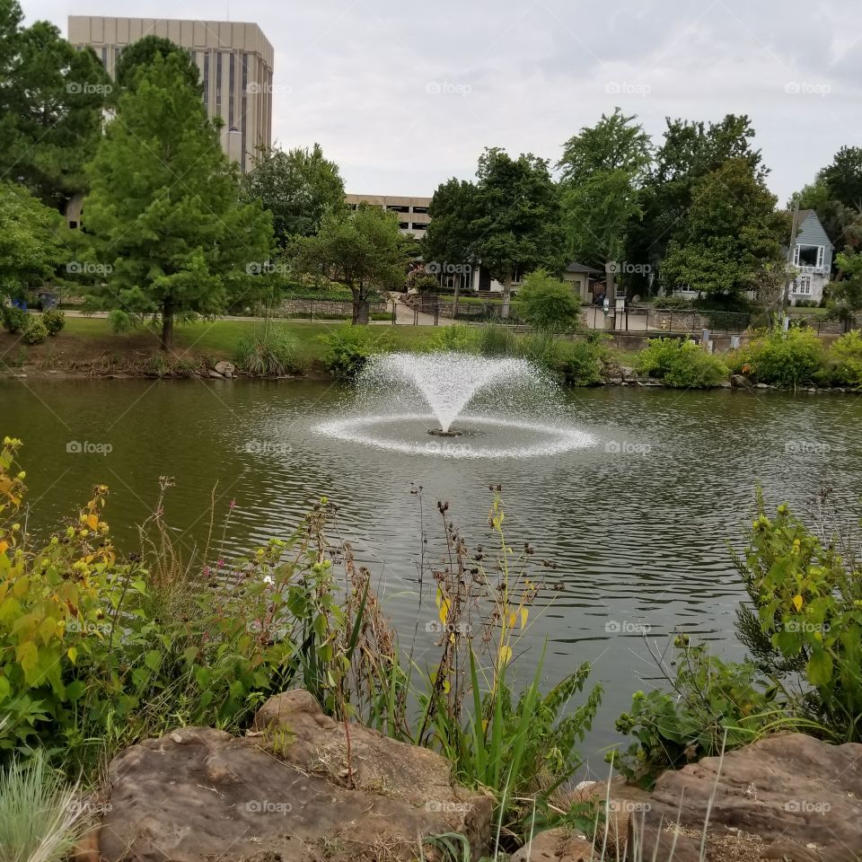 Water fountain Swan Lake