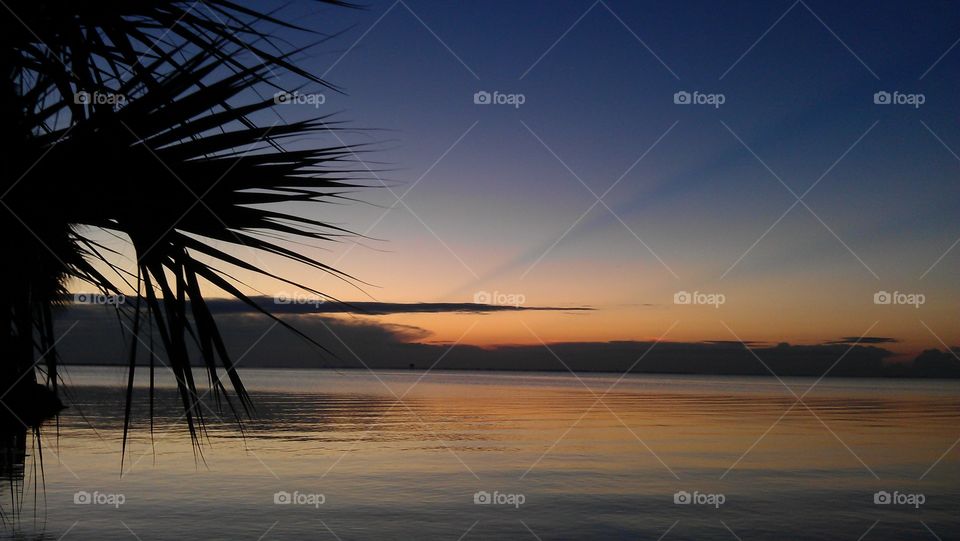 Florida sunrise
