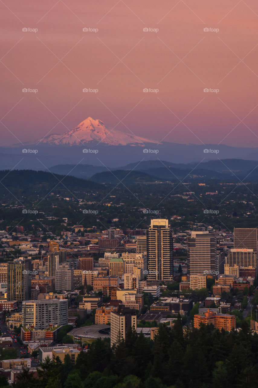 View of city , portland