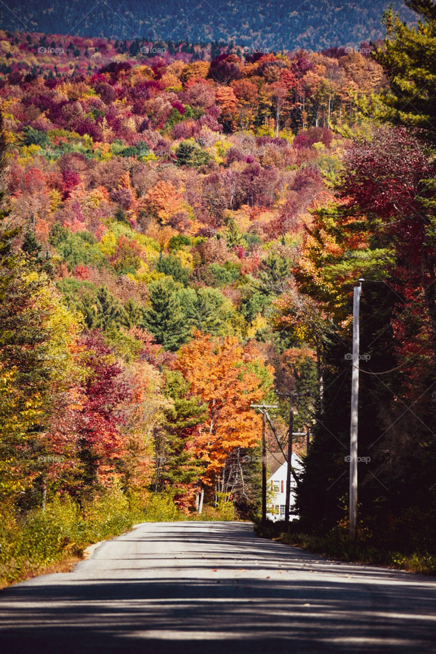 Fall colors is the best season color! I love fall! It’s my favorite season! Since we moved to New Hampshire, we have been experiencing the best fall!