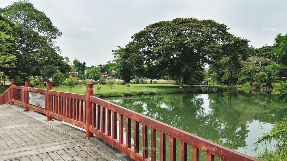 The bridge in the garden