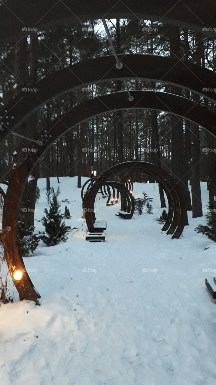 a benches in health park, Druskininkai