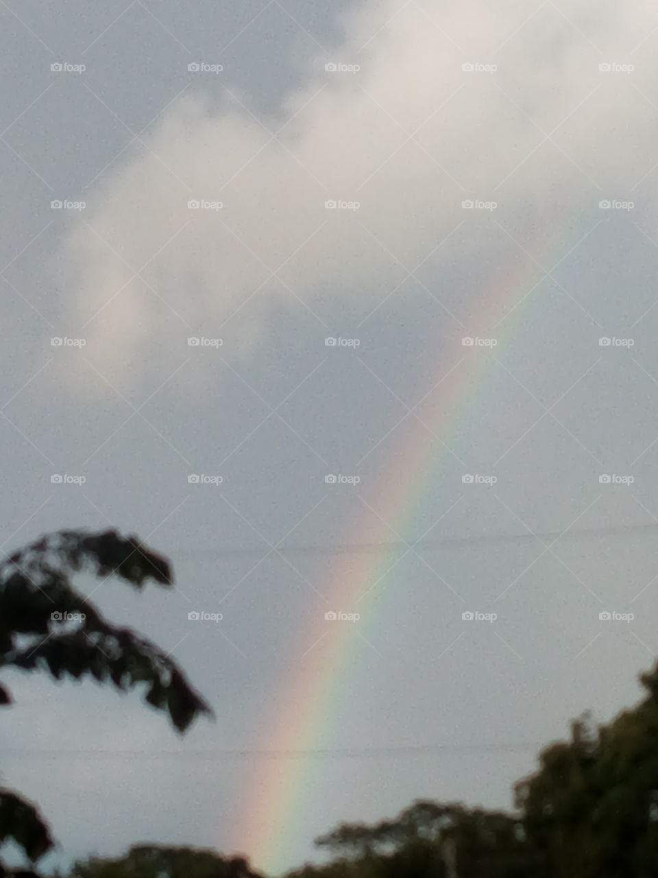 I finally found a rainbow! it's been quite awhile since I've seen one so I'm thrilled.