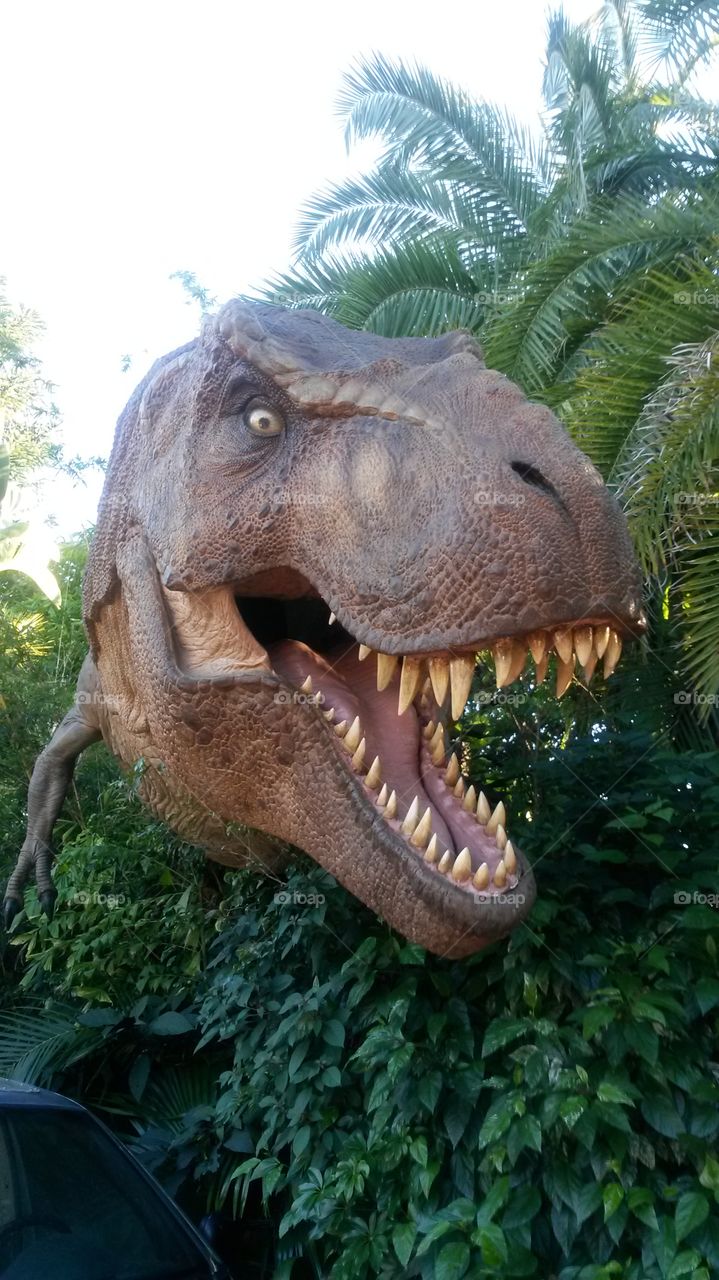 Jurassic! Universal Studios! . Universal Studio Weekend!  