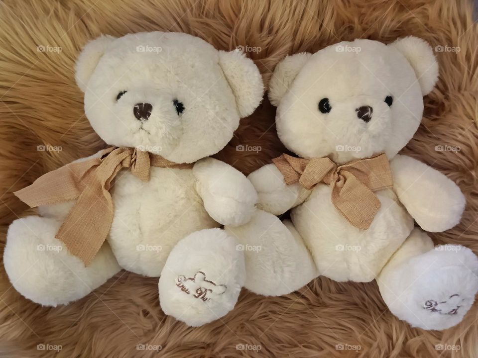 two white teddy bears for kids