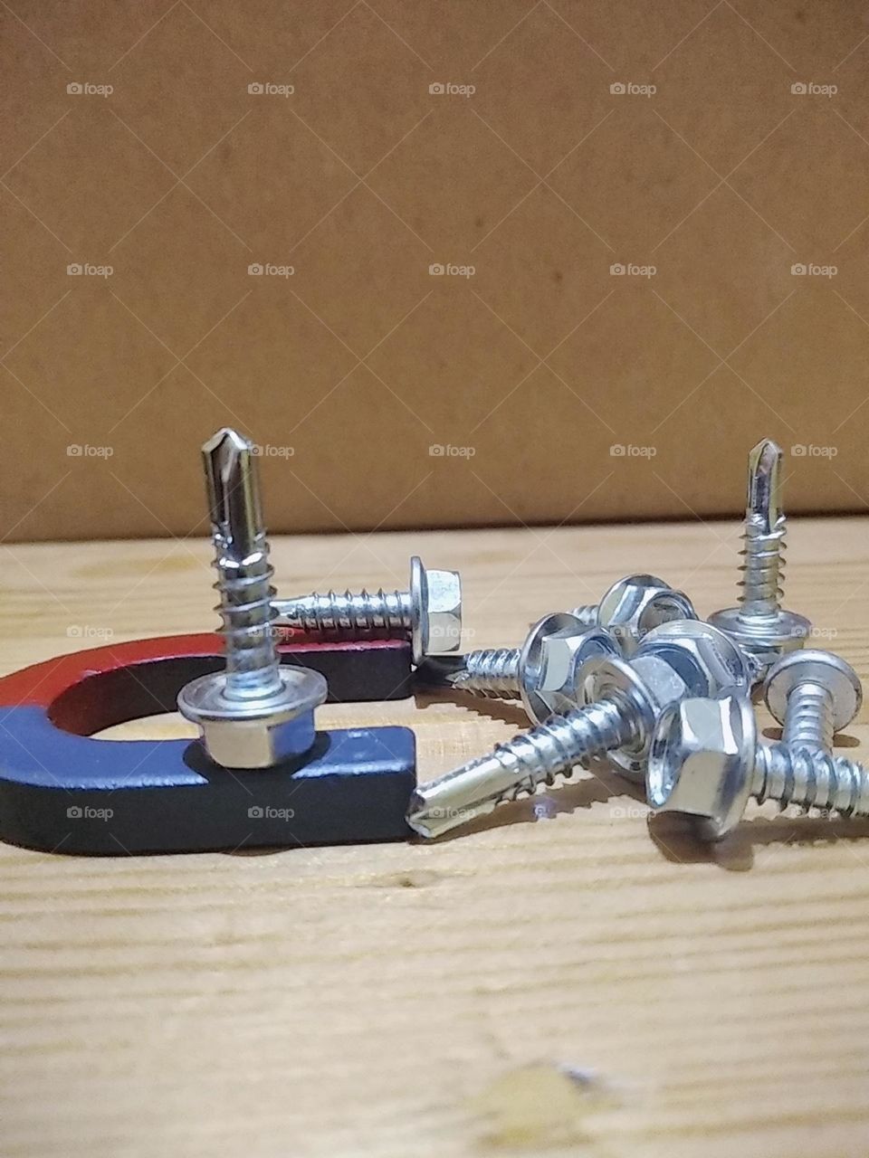 Metal bolt and magnets