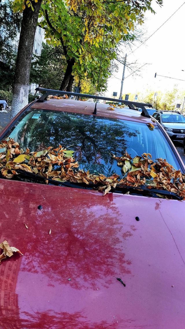 a decorated car