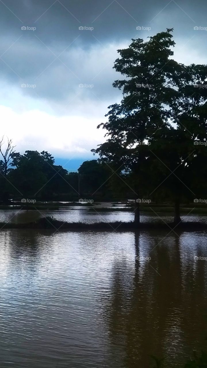 cloudy weather makes your mind romantic