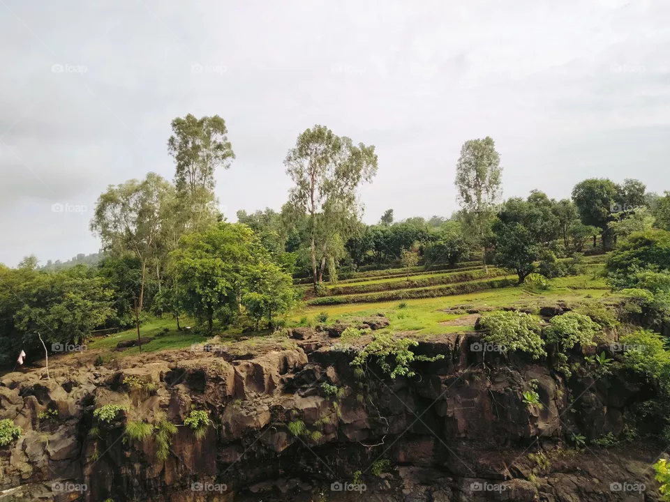 Beautiful Nature