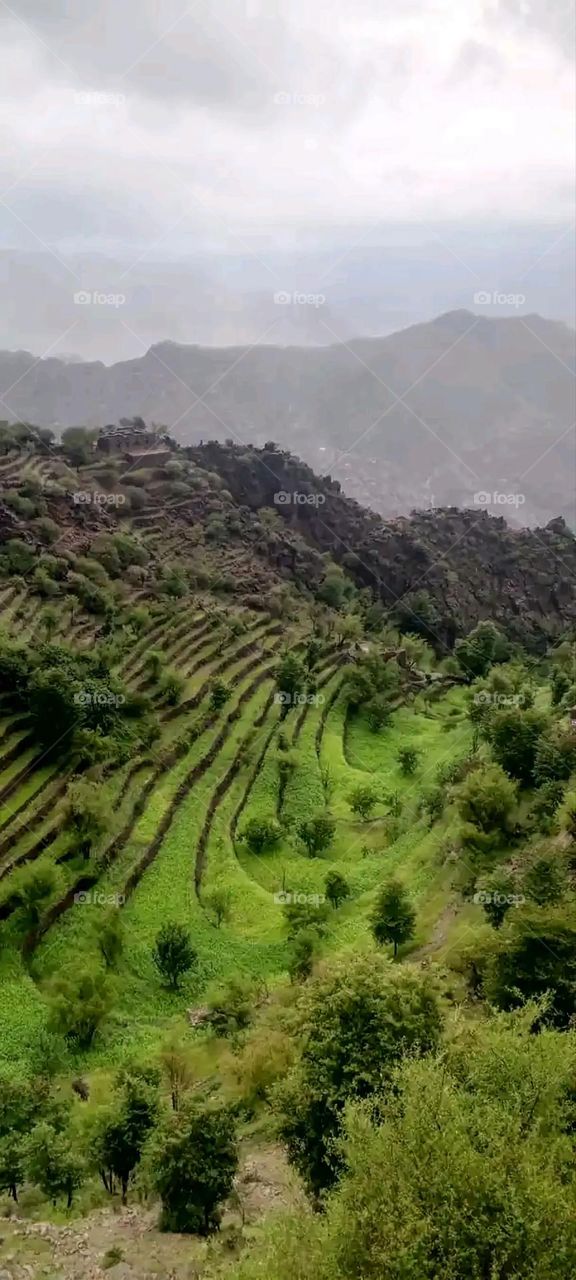 Glory be to God, the magnificent and picturesque view and the natural green trees are a view that is nothing more wonderful than it