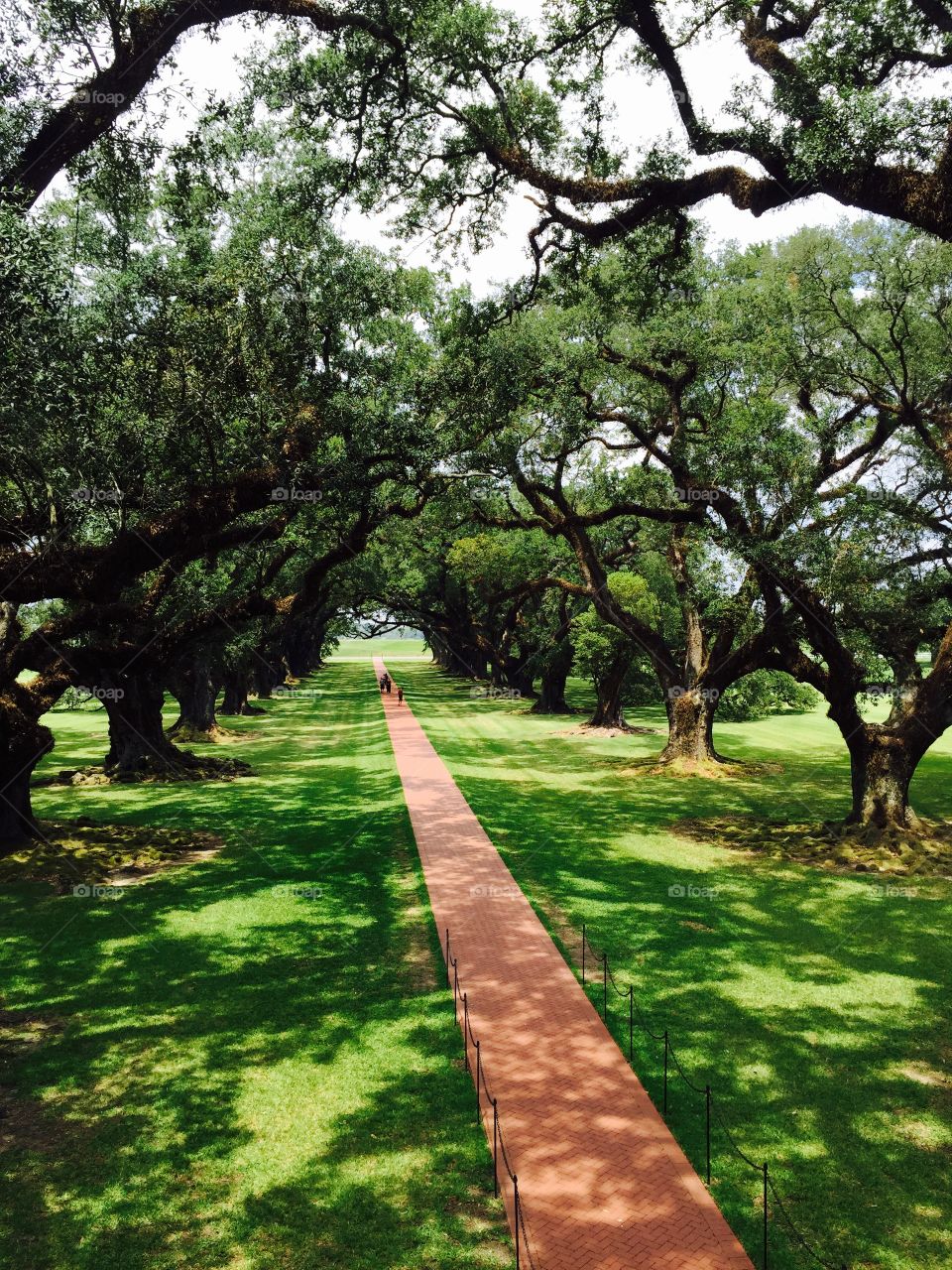 Oak Alley Plantation. Oak Alley Plantation, Louisiana... The most beautiful place I've ever seen!! 