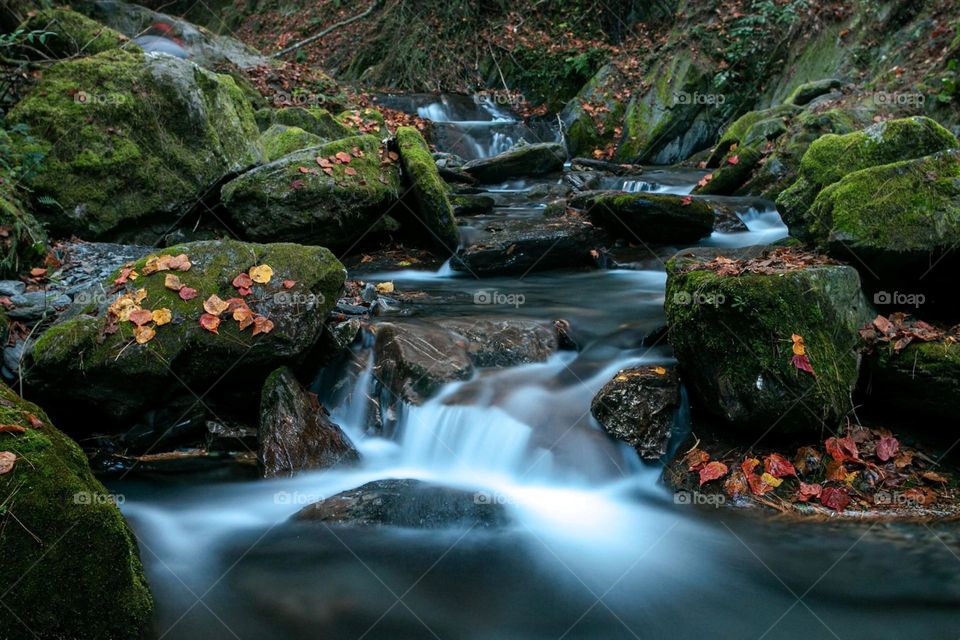 Beautiful natural landscape of flowing water and maple leaves in the valley