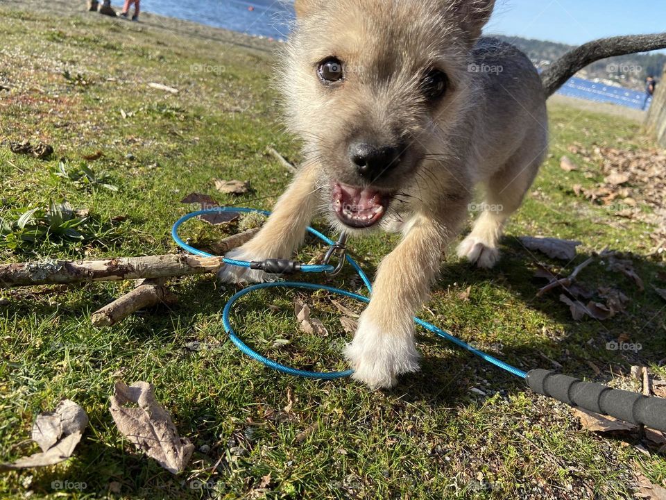 Walking at the beach