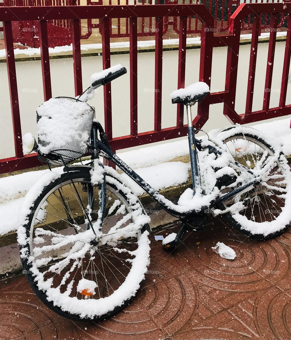A bike in the snow