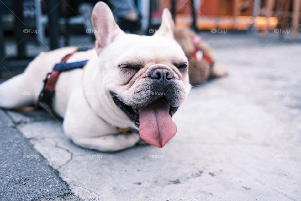 Visual impression and art in life, food and entertainment