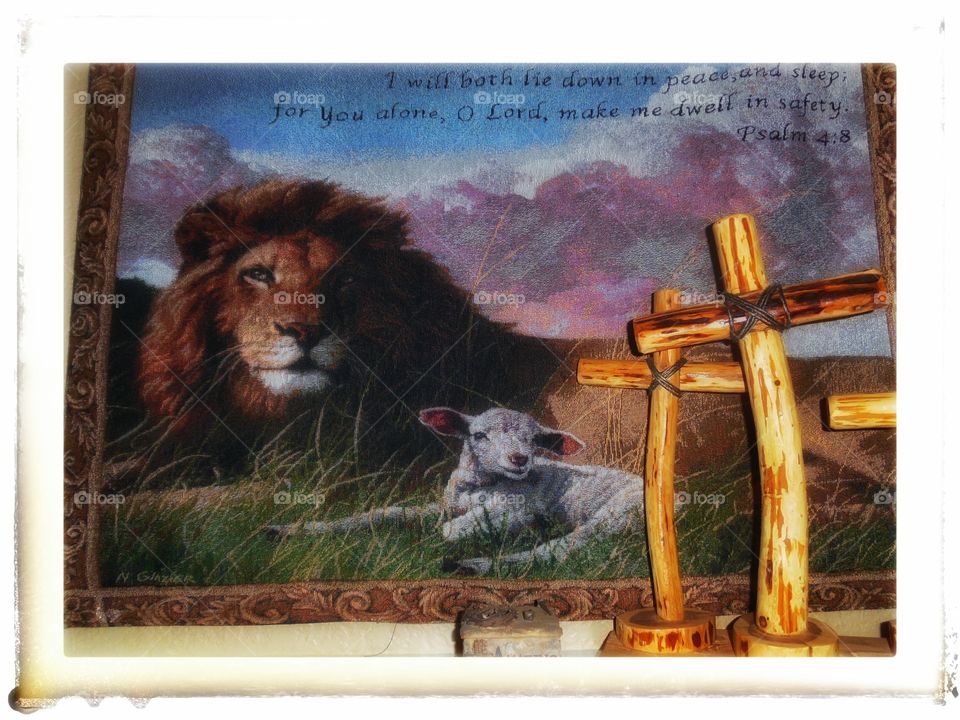 Lions and lambs. There will come a day when lions will lie down with the lambs