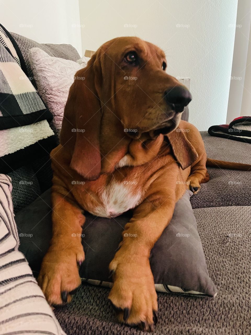 Is that waffles I smell 