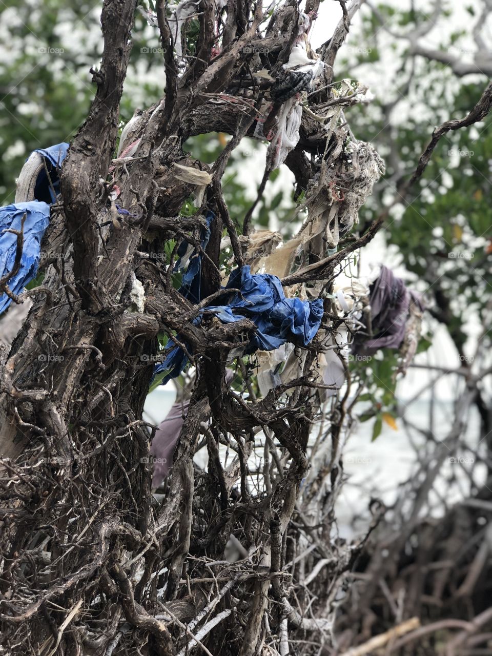 Garbage from the sea