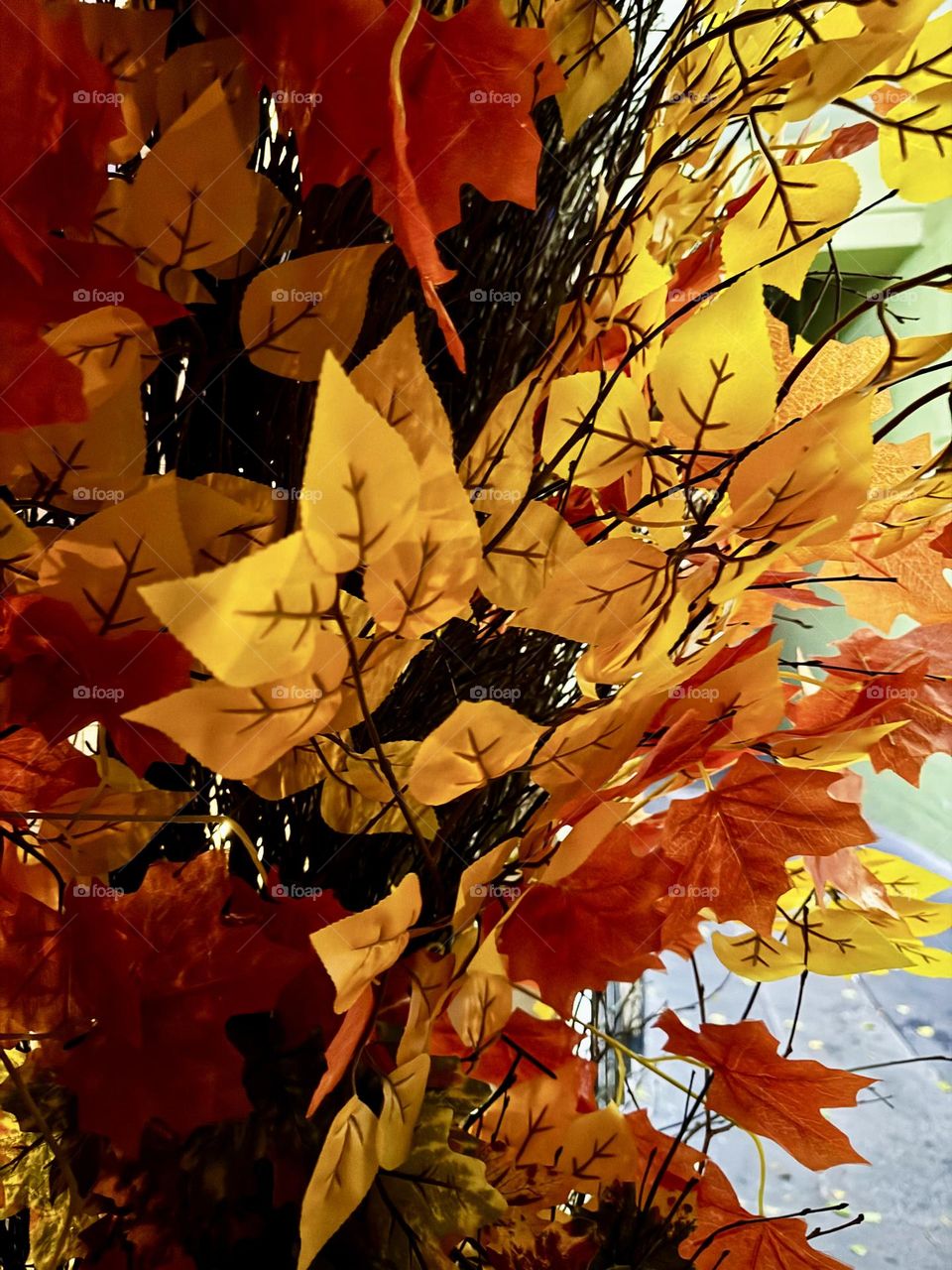 Autumn background. Red, yellow, orange leaves taken close-up