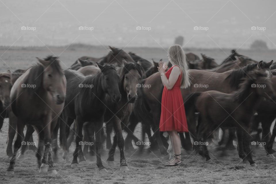 Horses and woman in red