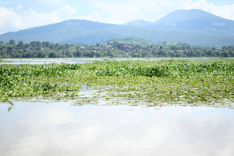 Lake in Michoacán