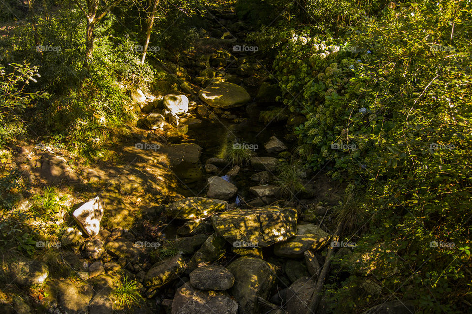 Walking through the mountains, found a river