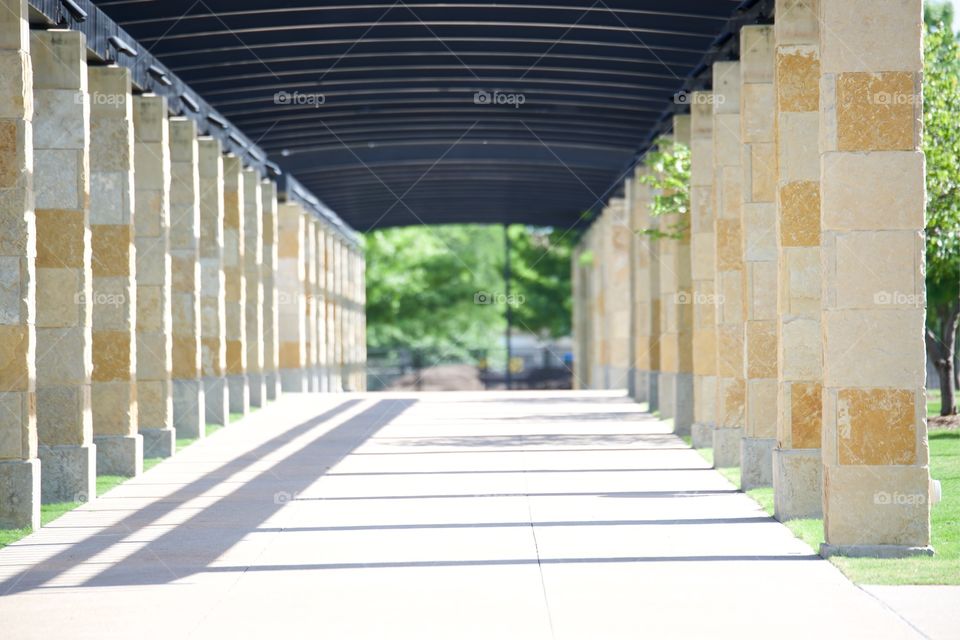 Standing tall in the stone