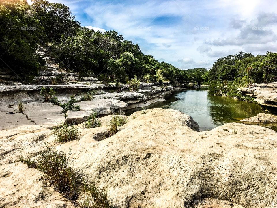 Scenic view of nature