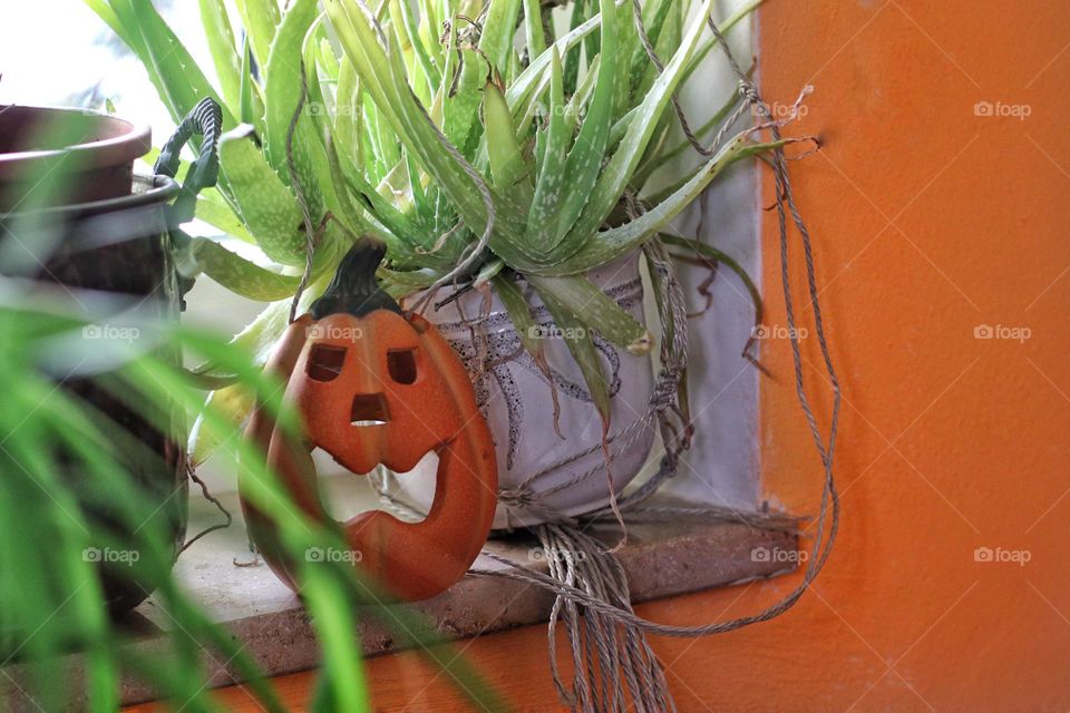 Orange Halloween pumpkin decoration between green potted plants on the windowsill