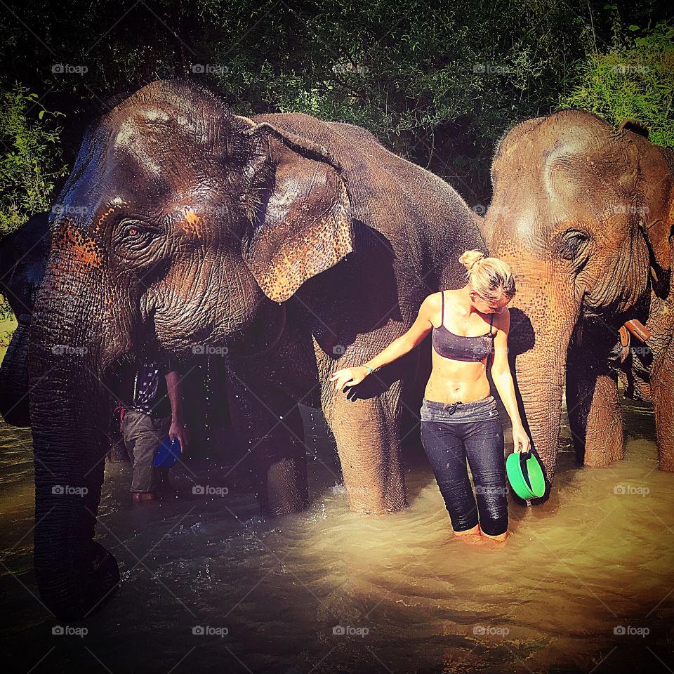 How to bathe an elephant :)