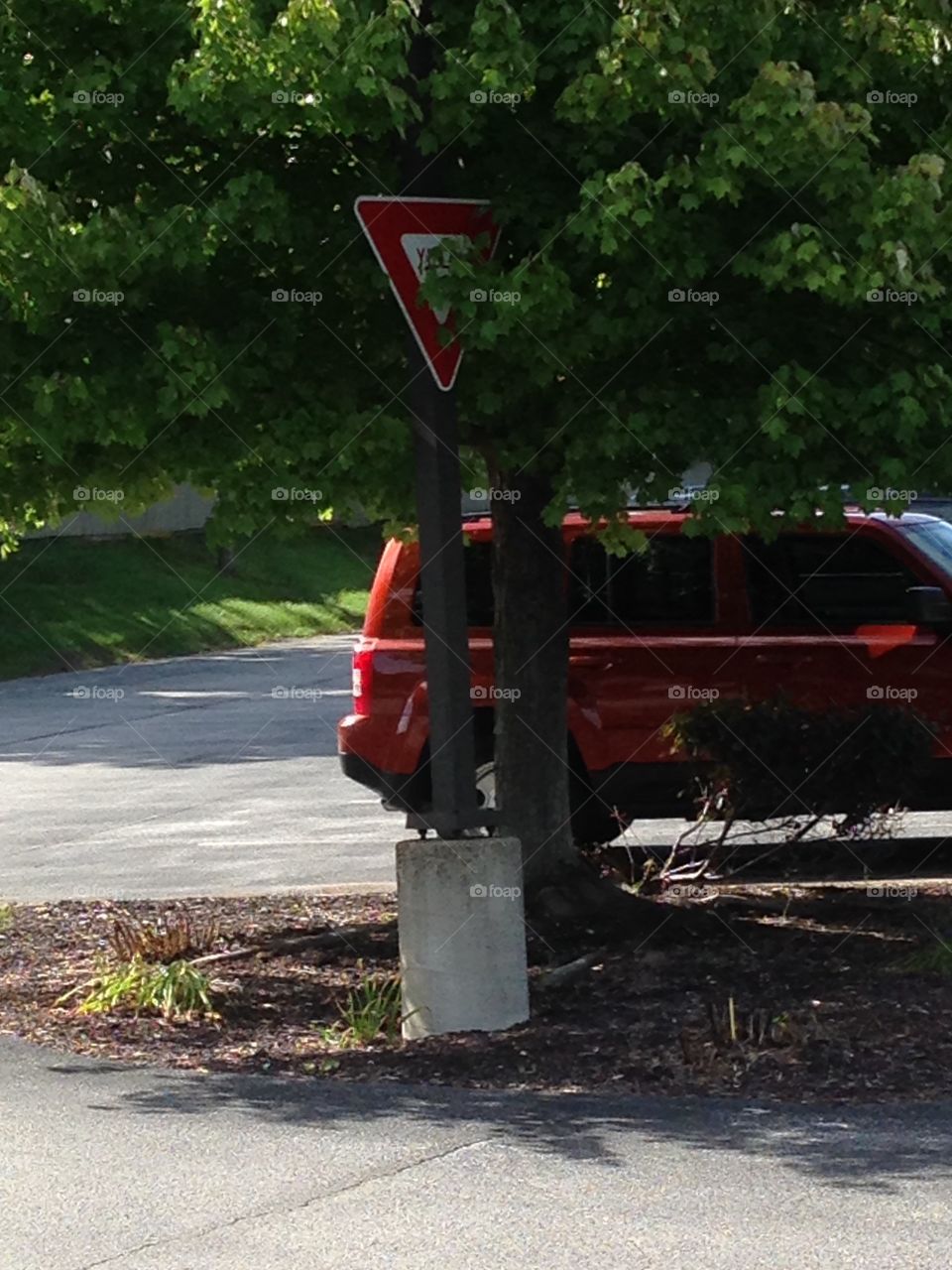 Yield sign hidden by tree overgrowth is a traffic safety hazard.