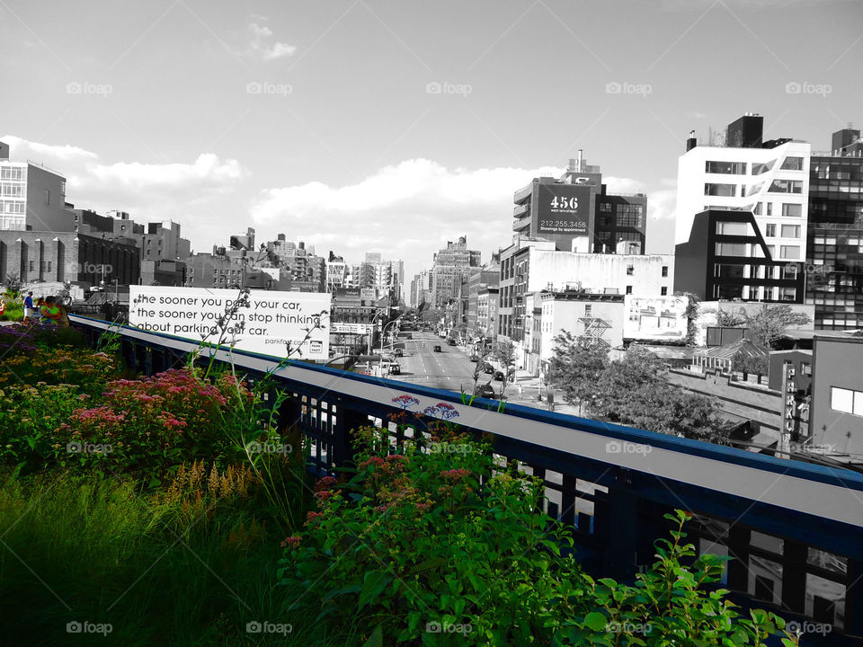 Take the High Line - Artistic