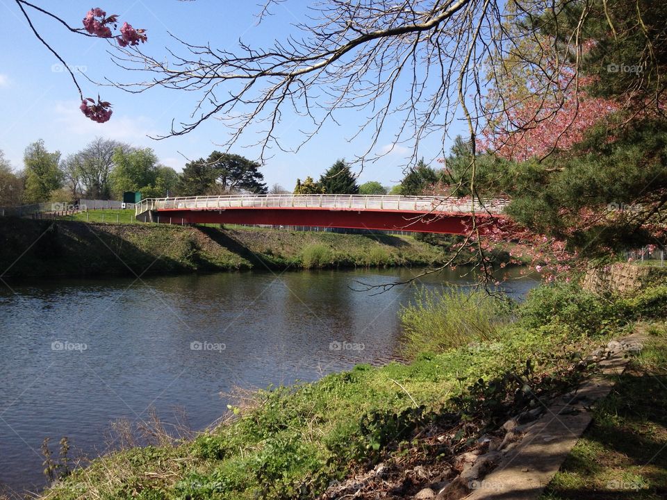 River Taff in Cardiff, Wales, UK