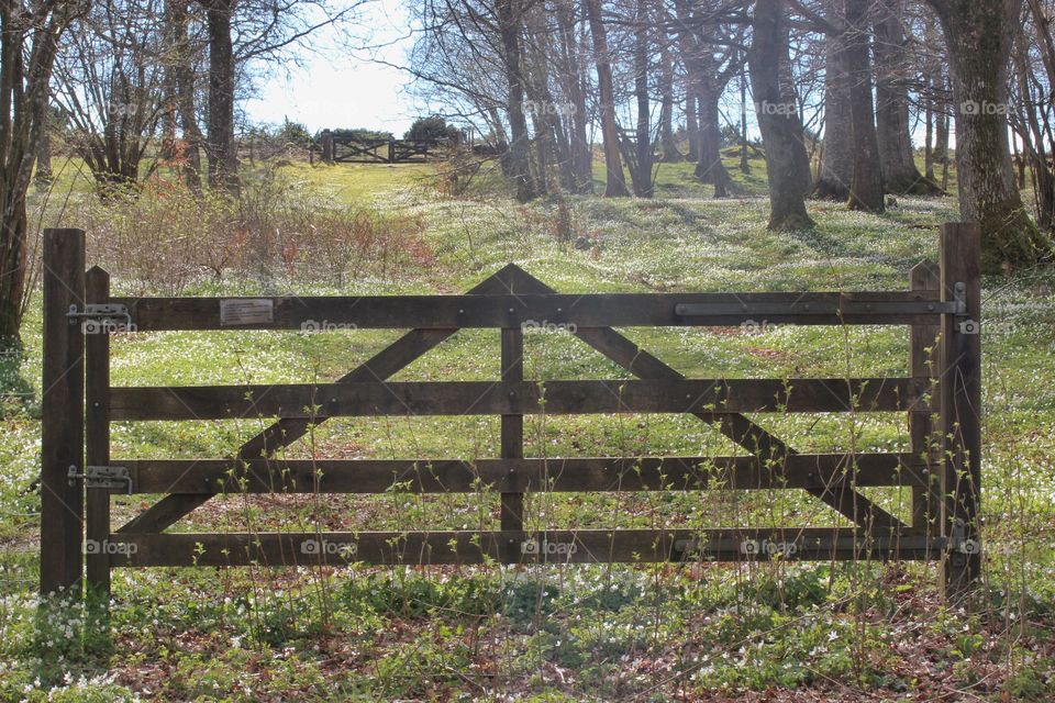 Gate to spring meadow