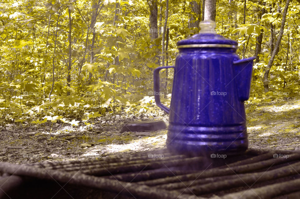 Take the Nostalgic Way Home ( Series )