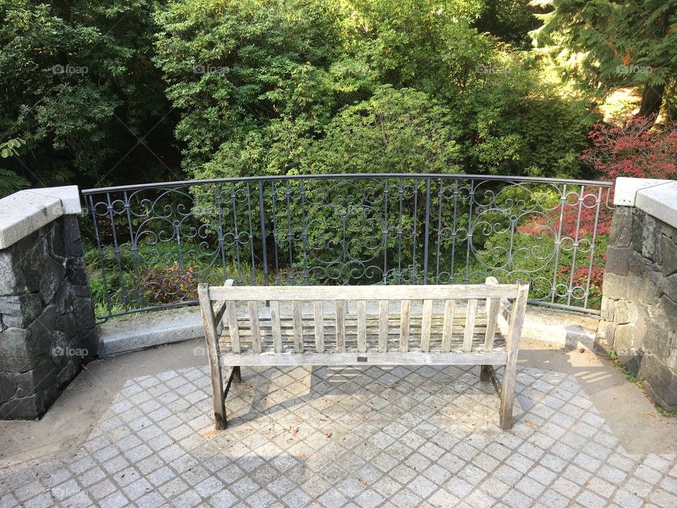 Bench overlooking stream, peaceful