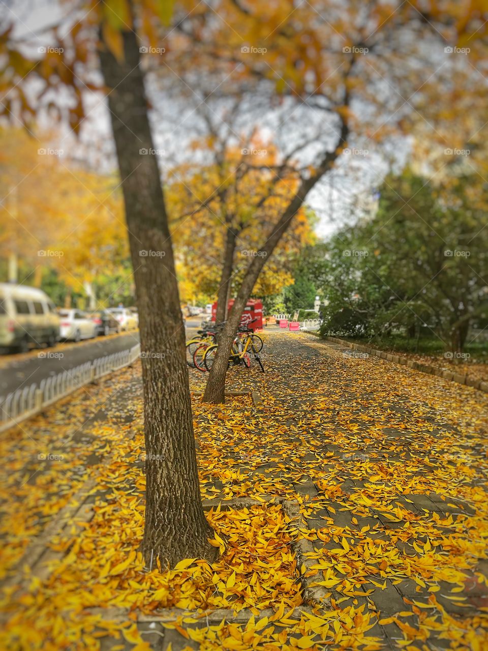 Fall 