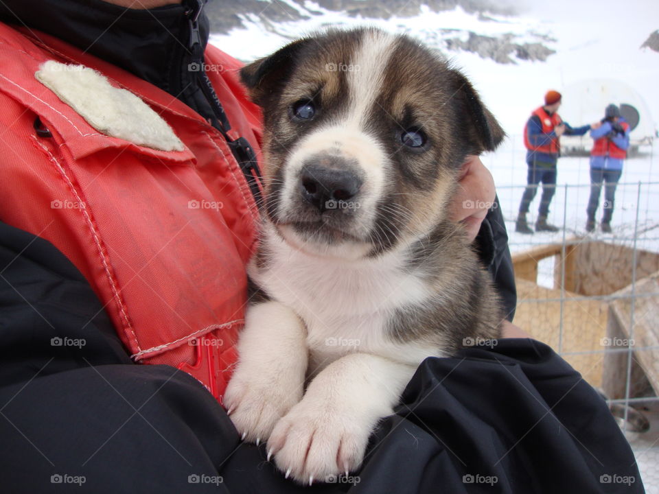 Checkout those paws!!