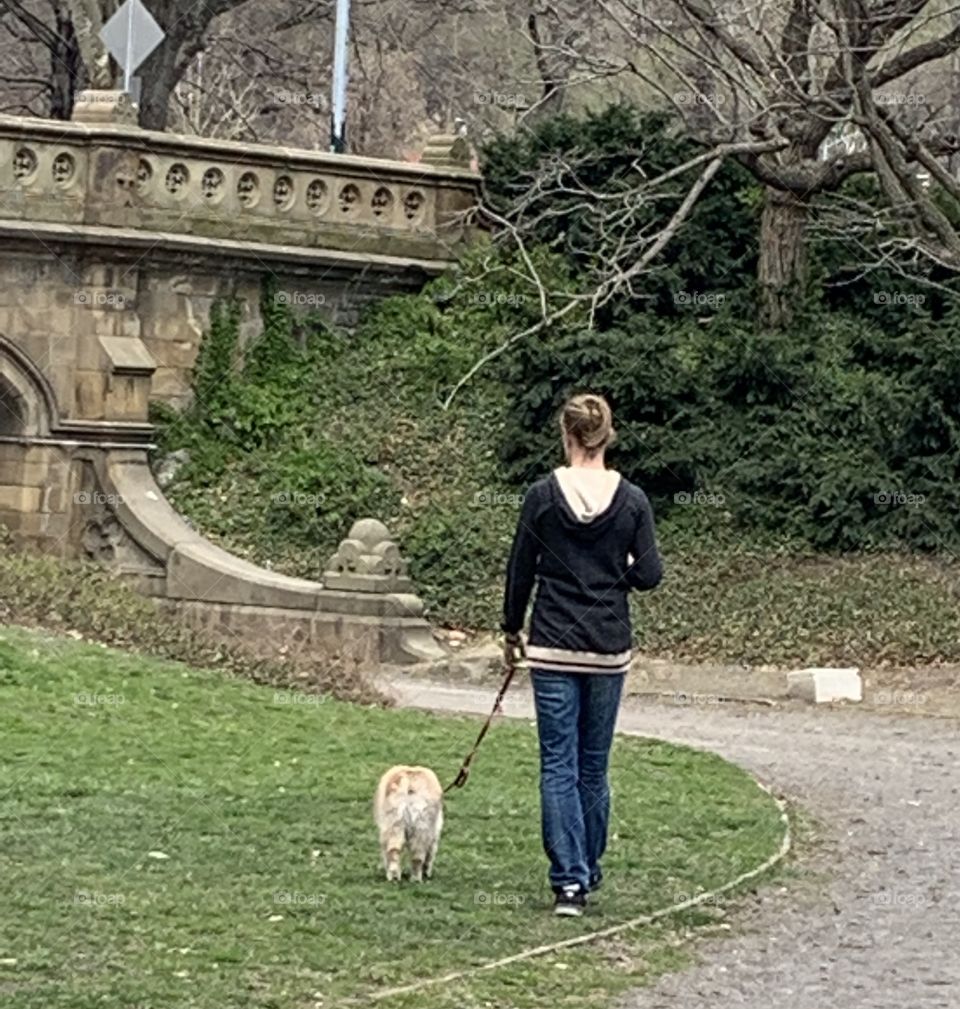 Spring Walk With Your Dog