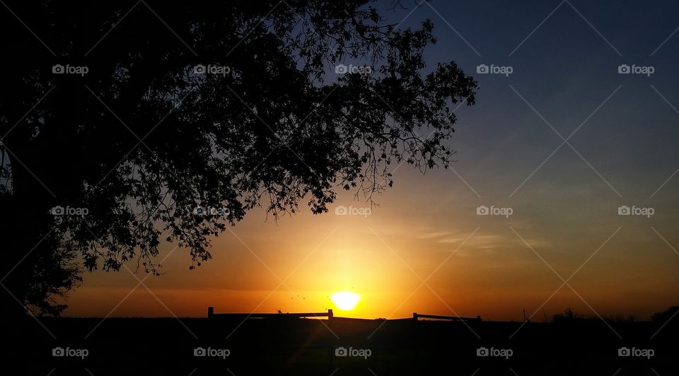 Texas Sunrise. the shot says it all